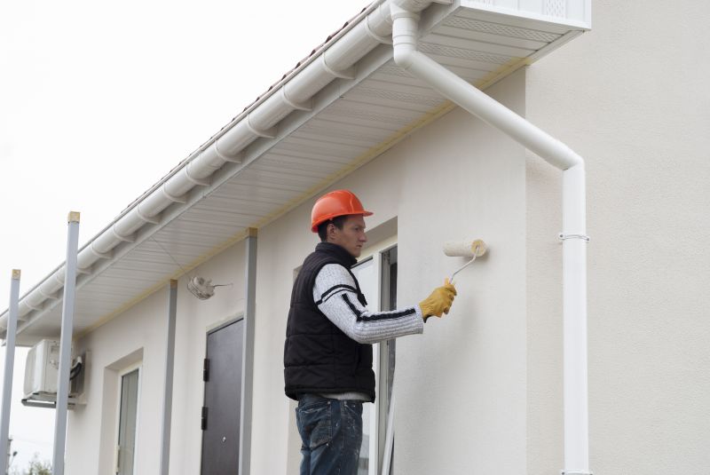 Cladding Painting in Fort Collins, CO